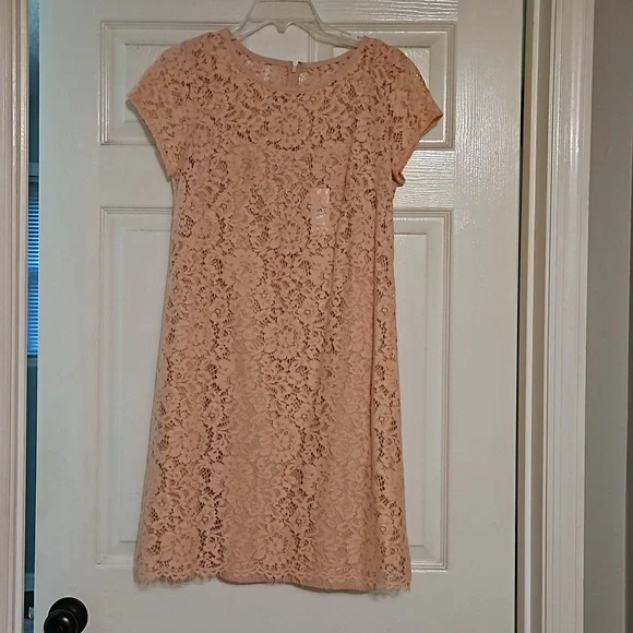 LOFT | Dresses | Womens Loft Lace Dress | Poshmark